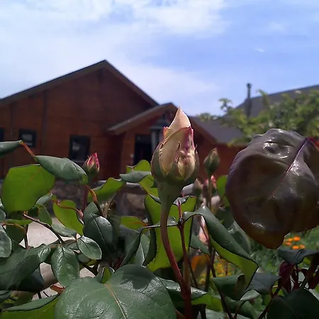 Pasithea Mountain Chalet